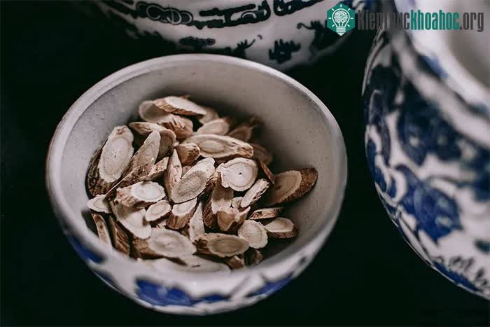 Polysaccharide trong xương cựa có thể điều chỉnh lượng đường trong máu.