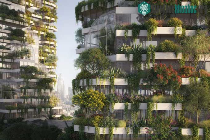 UAE lên kế hoạch xây nhà chọc trời đôi có 30.000 cây ảnh 1