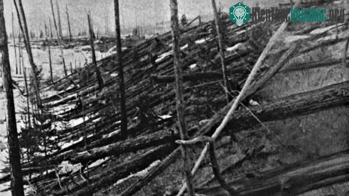 Hậu quả của sự kiện Tunguska ở Siberia năm 1908.