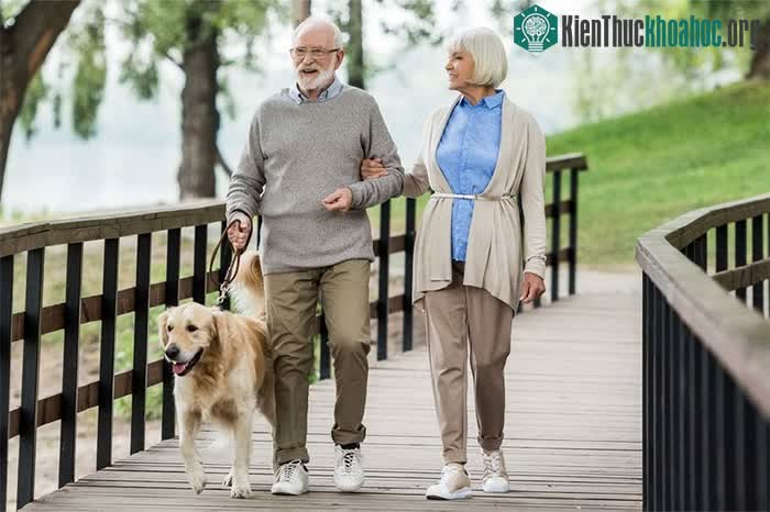 Chế độ tập luyện vùng 2 bao gồm các bài tập nhẹ
