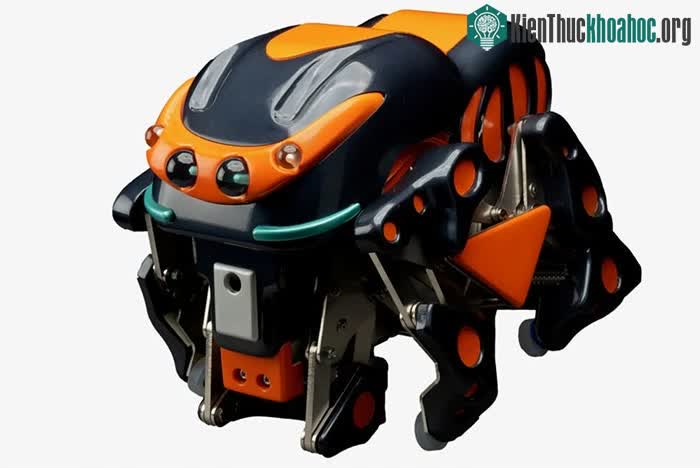 Robot này được thiết kế để có thể đi qua các đường ống hẹp.
