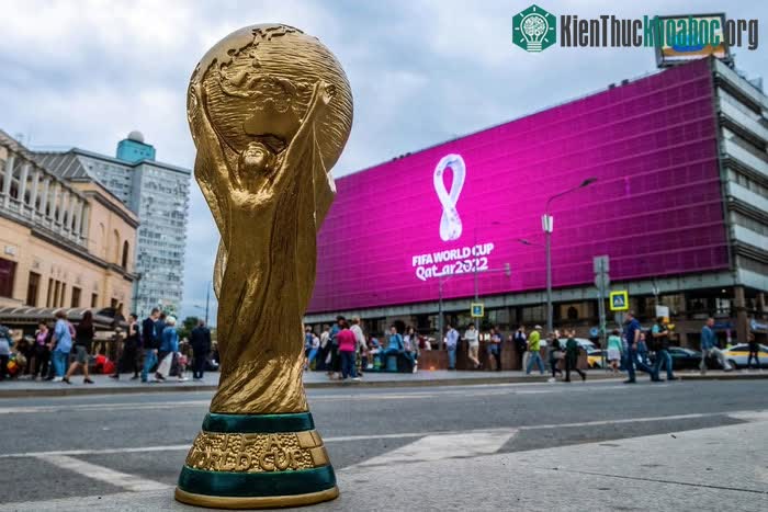 Doanh thu từ việc bán vé và tiếp thị cũng được FIFA nắm giữ 100%.