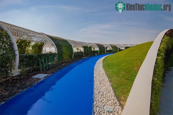 Công trình độc nhất vô nhị tại Qatar: Lập kỷ lục Guinness và khiến cả thế giới nể phục ảnh 1