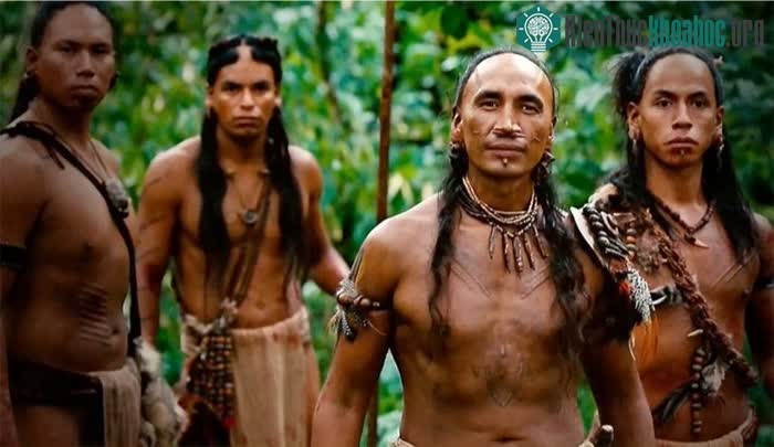 Xã hội Aztec được chia thành ba nhóm lớn