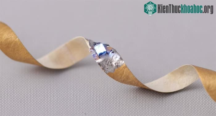 Thử nghiệm lắp chip lên vỏ nấm
