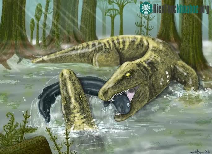 Sự thật gây sốc: Tổ tiên quái thú của chúng ta đáng sợ hơn khủng long bạo chúa ảnh 1
