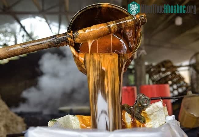 Mật mía được nấu và chắt lọc vô cùng kỹ lưỡng, sản xuất cầu kỳ.