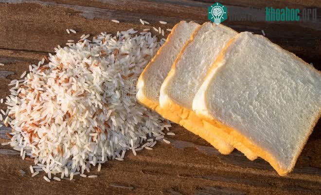 Bánh mì và gạo