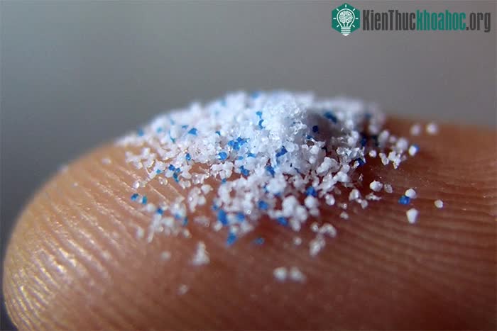 Lần đầu tiên phát hiện vi nhựa trong máu người