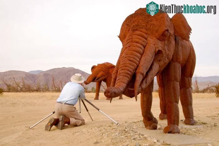 Gomphotheres thuộc họ Gomphotheriidae, hiện đã tuyệt chủng.