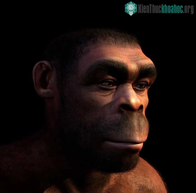 Người Homo erectus đã đến quần đảo Aegean bằng thuyền bè ít nhất 450.000 năm trước.