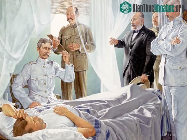 Bệnh sốt vàng da (yellow fever) là bệnh lây truyền do muỗi, có nguồn gốc từ Tây Phi và đã đến Mỹ.