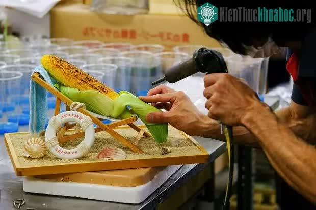 Mỗi mô hình đều có giá cao gấp nhiều lần đồ ăn thật.