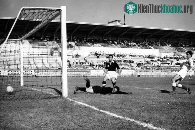 Thổ Nhĩ Kỳ 7-0 Hàn Quốc - World Cup 1954