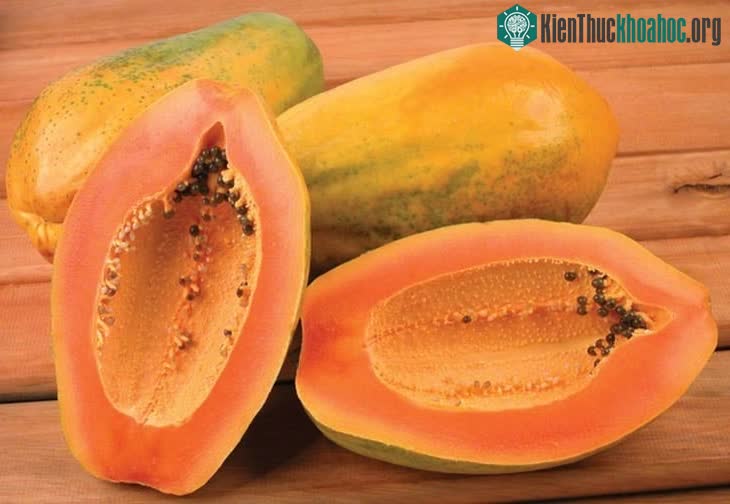 Cách bắt giun kim ở hậu môn cho bé bằng đu đủ hiệu quả cao lại rất an toàn cho trẻ em