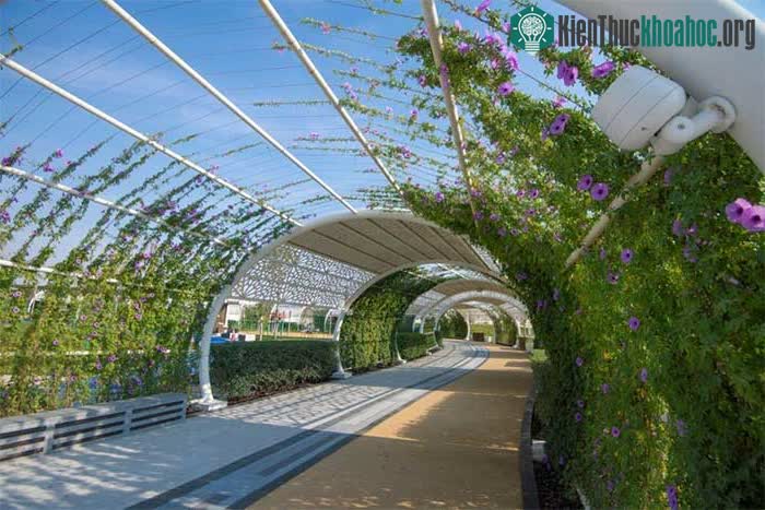 Đường chạy được thiết kế nhằm khuyến khích người dân tham gia tập thể dục
