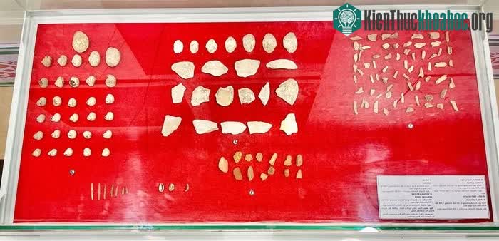 Xương động vật, mẫu thổ hoàng, vỏ ốc, vỏ nhuyễn thể có niên đại cách đây từ 5.500 - 4.000 năm