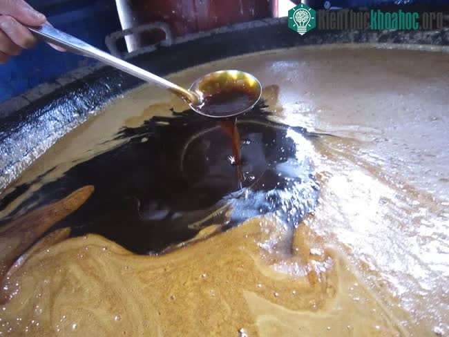 Mật mía được dùng nhiều trong các món ăn thay cho đường kính.