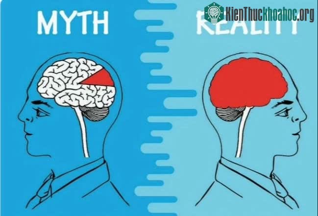Chúng ta có sử dụng hết tiềm năng của não bộ không?
