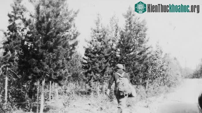 Lillian Alling: Người phụ nữ đầu tiên thực hiện chuyến hành trình đi bộ từ New York đến Siberia ảnh 3