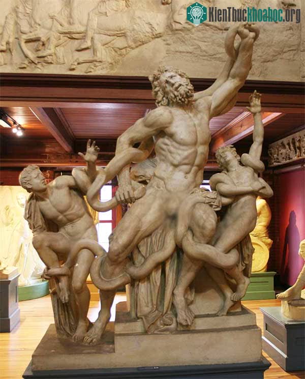 Một bản sao của “Laocoön và Con trai”