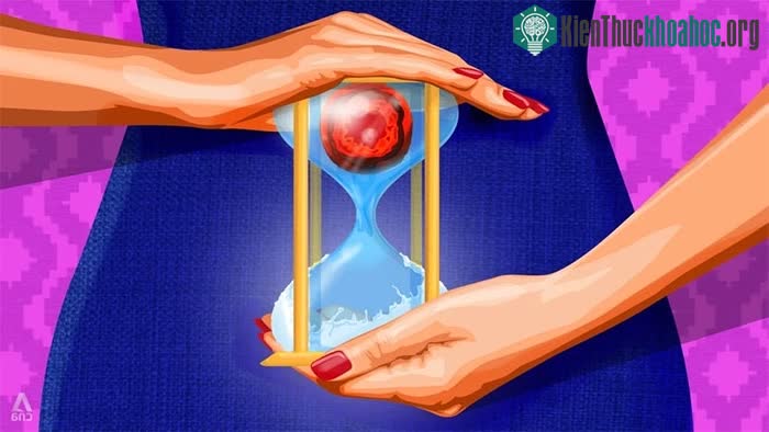 Đông lạnh trứng là gì? ảnh 3