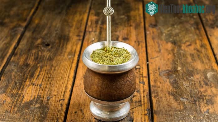 Trong Yerba Mate có chứa caffeine, nếu sử dụng quá nhiều caffeine có thể dẫn đến đau đầu.