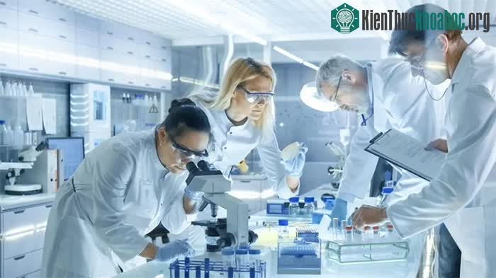 Hy vọng mới trong việc điều chế vaccine phòng chống viêm gan C ảnh 4