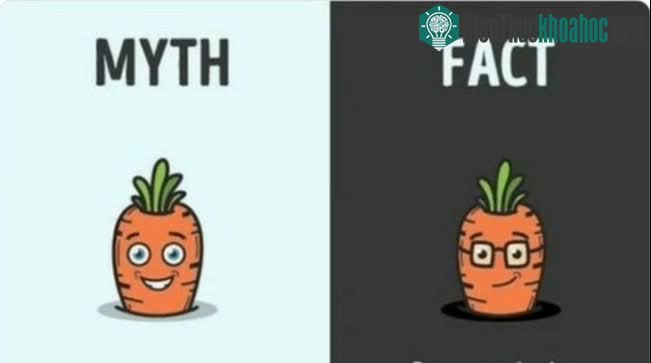 Cà rốt có giúp cải thiện thị lực?
