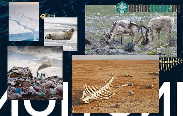 Động vật đang dần biến mất, chúng ta có thể làm gì để cứu vãn? ảnh 5