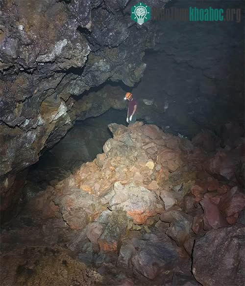 Bên trong nhánh mới của Hang C7