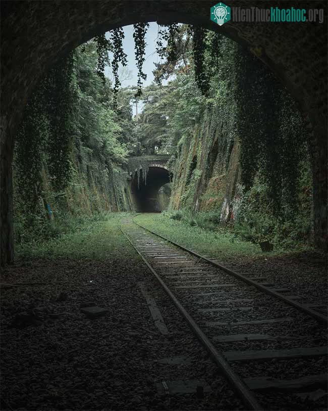 La Petite Ceinture.