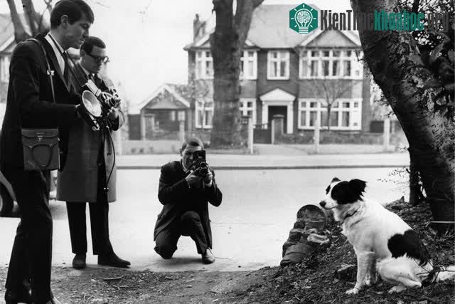 Chiếc cúp vô địch World Cup 1966 đã bị đánh cắp