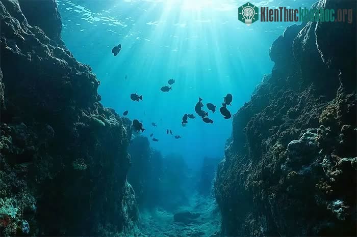 Chưa một ai giải thích được nguồn gốc của âm thanh kỳ lạ này