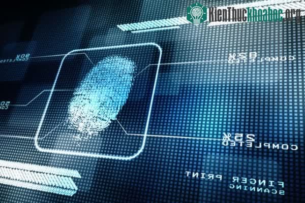 Vân tay của mỗi người không giống nhau, là yếu tố hỗ trợ cho chẩn đoán y khoa.