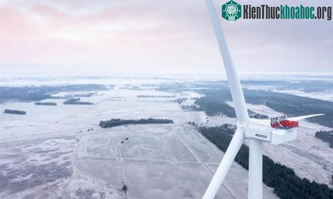Turbine gió V236 có cánh quạt dài 115,5m.