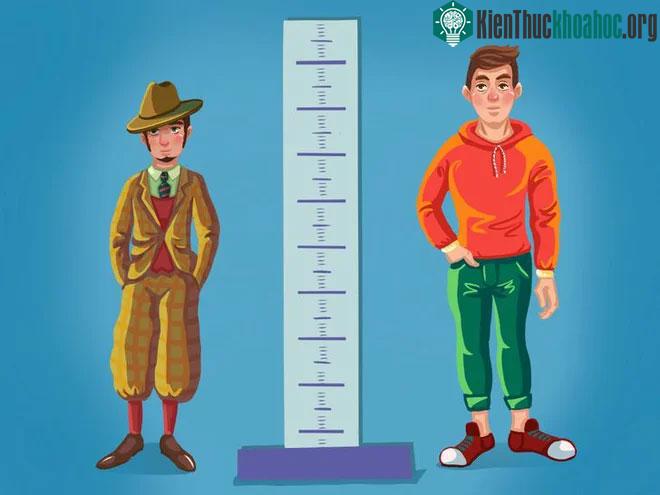 Cả nam và nữ ở nhiều quốc gia trên thế giới đều tăng chiều cao