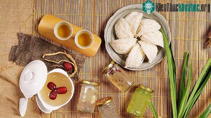 Tổ yến