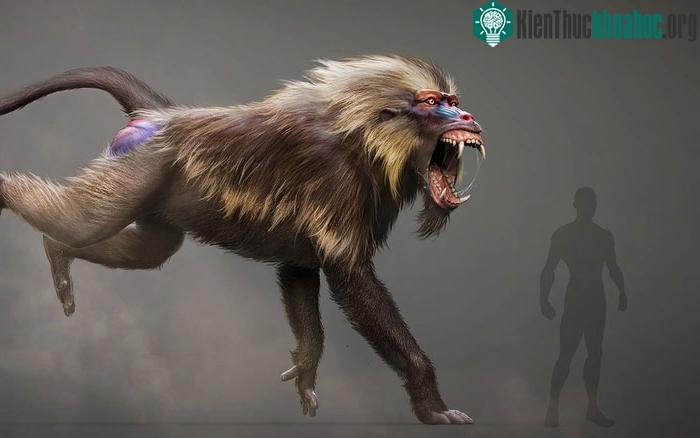 Dinopithecus là một loài vượn khổng lồ đã tuyệt chủng