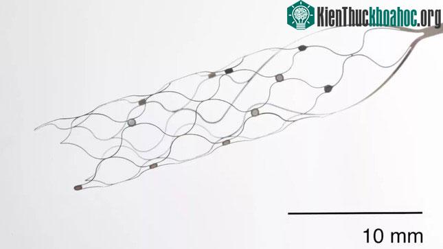 Một thiết bị giao diện não-máy tính mới không cần phẫu thuật mở não để cấy ghép.