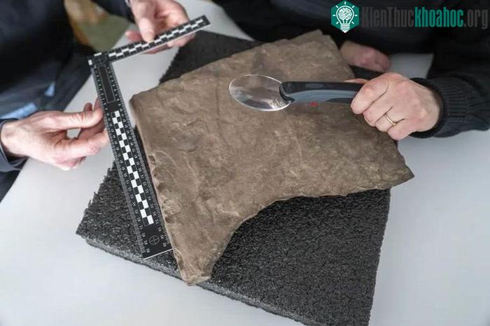 Phiến đá khắc chữ runes cổ nhất thế giới có niên đại 2.000 năm