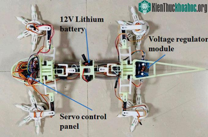 Nguyên mẫu robot 4 chân lấy cảm hứng từ thằn lằn sa mạc.