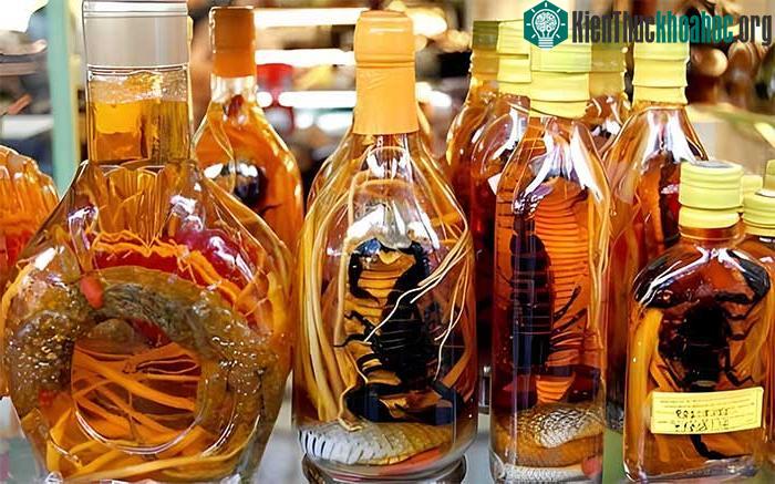 Rượu ngâm