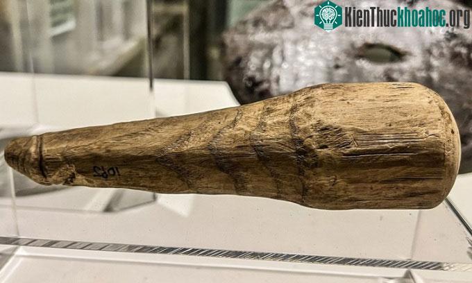 Cổ vật bằng gỗ ở phòng trưng bày tại bảo tàng Vindolanda.