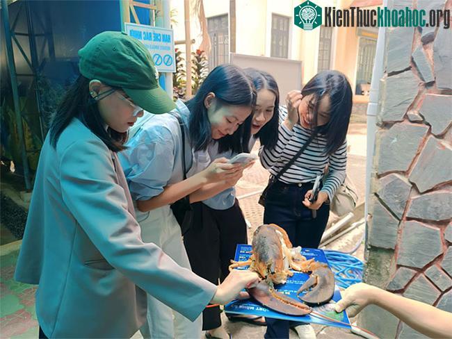 Các du khách thích thú khi được sờ vỏ tôm hùm đột biến