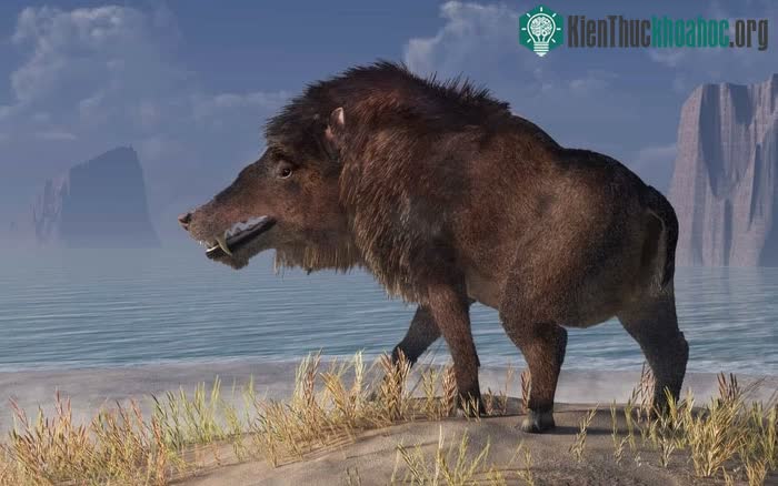 Andrewsarchus là một chi động vật có vú sống vào thời kỳ Eocene giữa