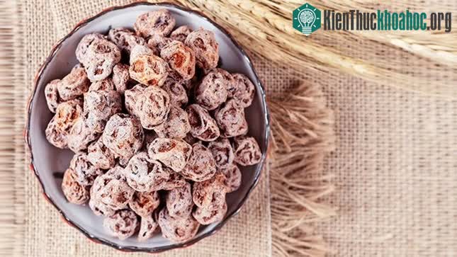 Ô mai là vị thuốc kết hợp với nhiều vị khác để chữa các chứng ho lâu năm