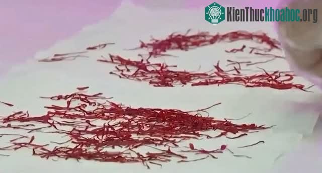 Hiện 1kg nhụy hoa nghệ tây Kashmir có giá khoảng 3.628 USD.