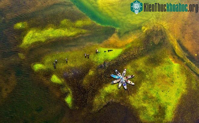 Đầm nước ngọt An Khê, nơi được ví là trái tim của di tích văn hóa Sa Huỳnh. (