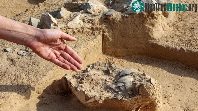 Cận cảnh những mảnh vỡ của trứng đà điểu trên sa mạc Negev.